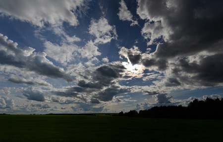 Field with yellow dandelions and blue sky.の写真素材