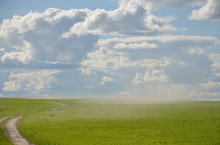 Field with yellow dandelions and blue sky.の写真素材