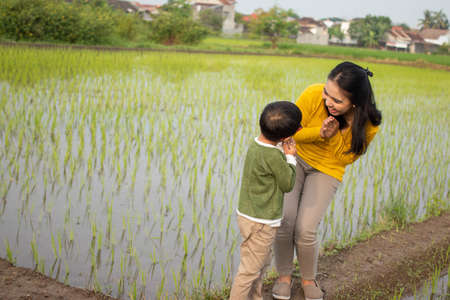 Asian mothers and children are joking around the fields cheerfullyの写真素材