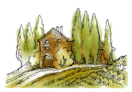Hand made sketch grape fields and vineyards. Made in vintage style.のイラスト素材