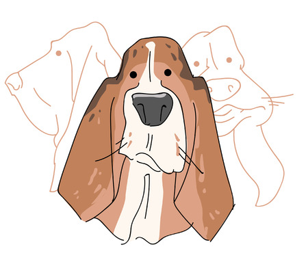 A Vector illustration funny dog thorough bred on a white background.のイラスト素材