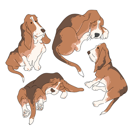 A Vector illustration funny dog thorough bred on a white background.のイラスト素材