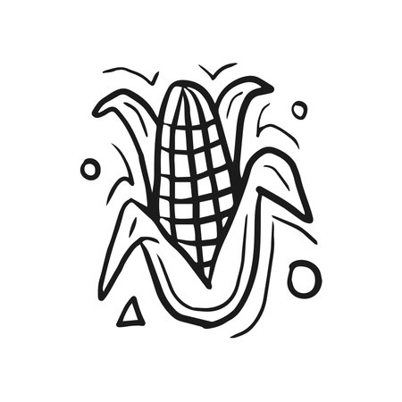 Simple hand drawn black and white Maize. Market package, education card, etching concept designのイラスト素材