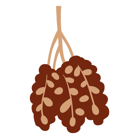 Simple hand drawn date dried fruit berry. Ramadan food. Market packaging concept designのイラスト素材