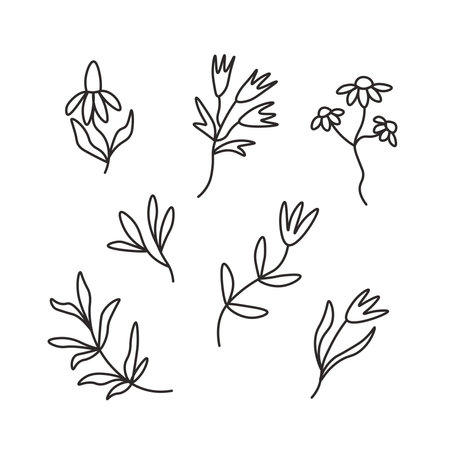 Simple hand drawn set of flowers, twigs and leaves in doodle stile. Isolated vector illustration. Modern black botanical outline on white backgroundのイラスト素材