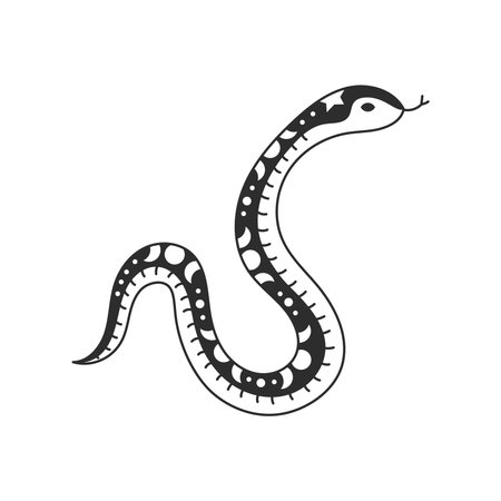 Celestial Snake Hand drawn Doodle style. Sacred animal with moon and crescent ornament. Sketch vector illustration for mystic esoteric topics, tattooのイラスト素材