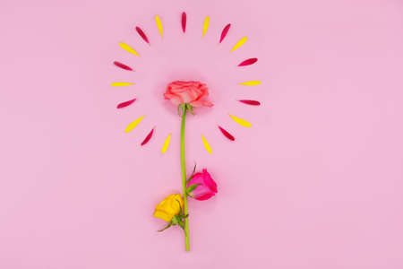 Spring flowers on a pink background. Spring or summer floral background with copy space for text. Beautiful flowers. Flower composition. Hello summer. Hello Spring.Flat lay.の写真素材