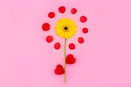 Spring flowers on a pink background. Spring or summer floral background with copy space for text. Beautiful flowers. Flower composition. Hello summer. Hello Spring.Flat lay.の写真素材