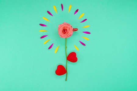 Floral spring background. Flower petals and daisies on a turquoise background. Rose in a coffee cup with petals. Beautiful flowers with copy space for text on a turquoise background. Flower composition.の写真素材