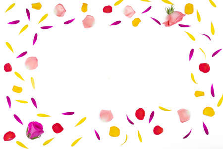 Spring flowers on a white background. Bouquet of flowers. Flower composition. Flower petals on a...