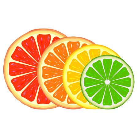 Four bright citrus slices: grapefruit, orange, lemon and limeのイラスト素材