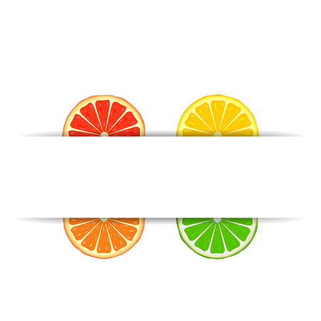 Four bright citrus slices of grapefruit, orange, lemon and lime with white paper bannerのイラスト素材