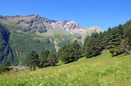 Beautiful landscape of the Caucasian mountains, nature of the Elbrus region. View of the green mountains of the Caucasus in August with snow-capped peaks in background. Wildlife of the Caucasusの写真素材