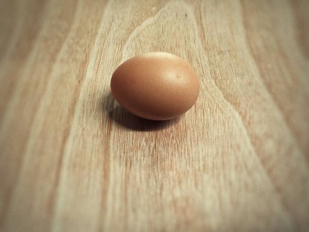 Egg