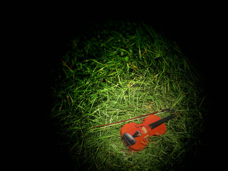 Violin on green grassの写真素材