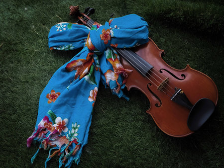 The violin tied by floral print cloth,put on green grass ground floor,in abstract art design,art styleの写真素材