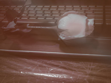 The big rose was put on laptop ,on wooden desk,vintage design,art style,grainy film tone,blurry light around.の写真素材