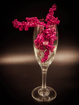 Glass wine was put on black background ,abstract art design,warm light tone,plenty of red small fruit in glass,blurry around.の写真素材
