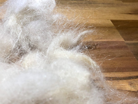 Dog hair on a wooden background. Close-up, selective focus.