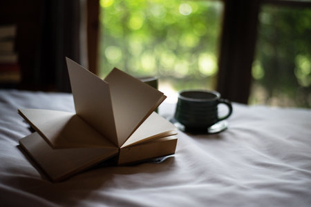 The opened book put on bed,blurry light design background,vintage and art tone