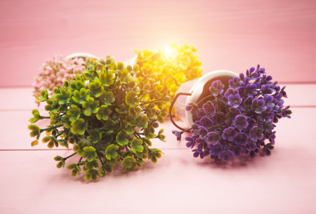 The small plant put on wooden timber board,warm light tone,blurry light around.