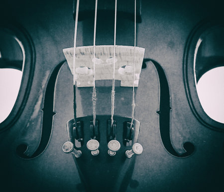 The abstract artdesign background of front side violin,show parts of violin,vintage and art tone,blurry light around.の写真素材