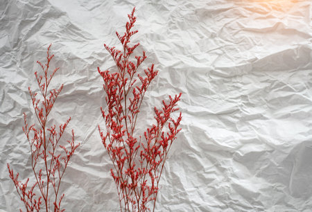 Dried flower put at the left side of background,warm light tone,blurry light around