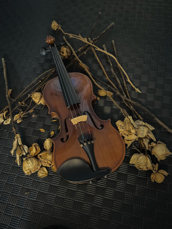 Violin and bow put beside dried roses on black grunge surface background,vintage and art syleの写真素材