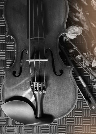 Violin front side put beside dried roses on black grunge surface background,vblack and white tone,blurry light aroundの写真素材