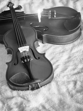 Small violin put in front of blurred bigger one,on soft cotton cloth,show detail of acoustic instrument.black and white tone,Lens flare effectの写真素材