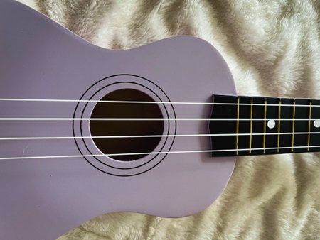 Ukulele Sound hole and strings.parts of Hawaiian acoustic instrument.Little guitar.の写真素材
