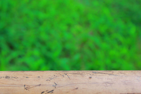 wood Green background の写真素材
