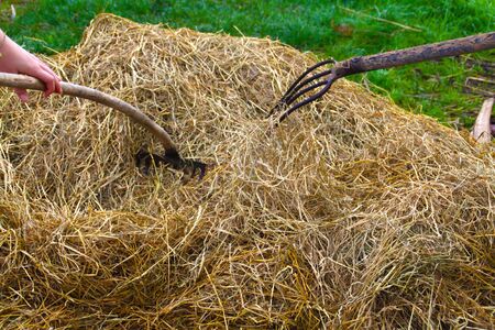 Agriculture