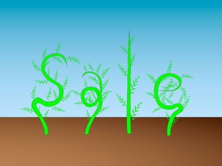 Plants have written the word Sale on the background of the skyの写真素材