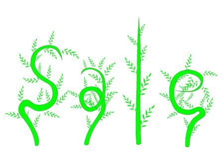 Plants have written the word Sale on a white backgroundの写真素材
