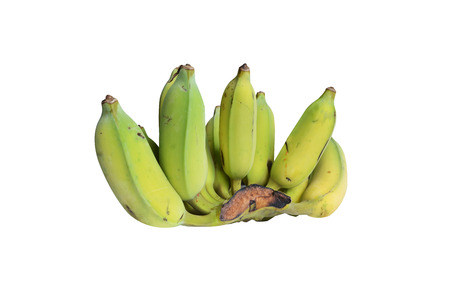 Bananas, Cultivated Banana, Thai cultivated banana, Thai bananas on on white background の写真素材