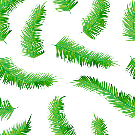 Seamless vecor palm tree leaves pattern with white background. Vector illustration for your graphic design.のイラスト素材