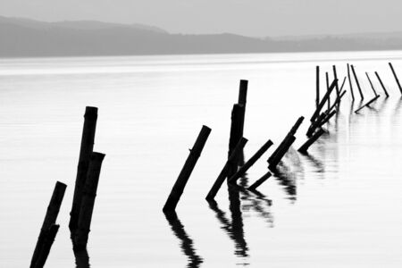 Poles in a lakeの写真素材