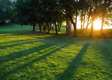 Long shadows in the countrysideの写真素材