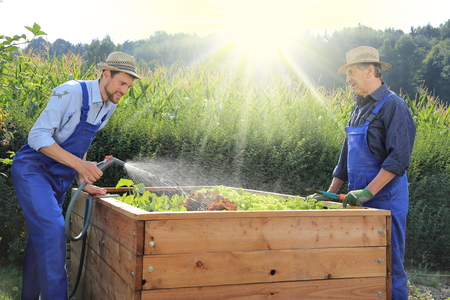 A Father and son gardening on a raised planting bed in a gardenの写真素材
