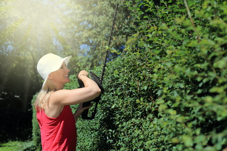 A Woman with battery driven akku Hedge trimmerの写真素材