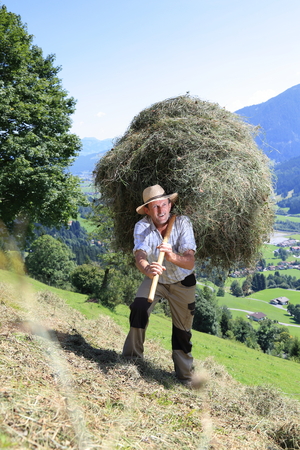 A Farmer wirh  fork over shoulder haymakingの写真素材