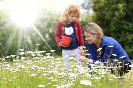 A Flower meadow in front of a Mother with heir daughterの写真素材