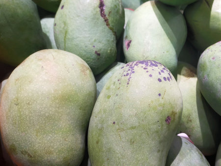 Some mango display at the market.の写真素材
