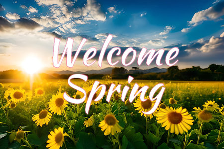 Welcome spring seasonal greetings wallpaper background for banner and commercial, beautiful nature flower and green with some sunrise.の写真素材