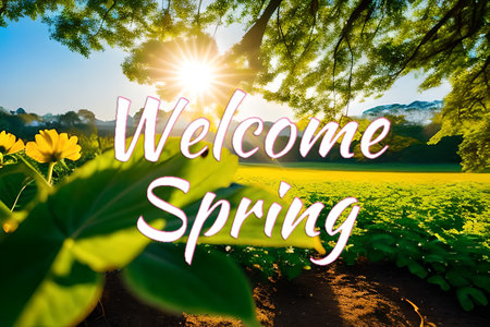 Welcome spring seasonal greetings wallpaper background for banner and commercial, beautiful nature flower and green with some sunrise.の写真素材