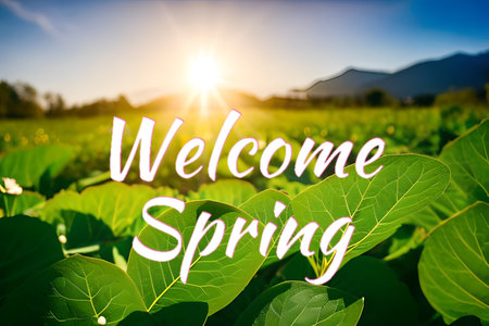 Welcome spring seasonal greetings wallpaper background for banner and commercial, beautiful nature flower and green with some sunrise.の写真素材