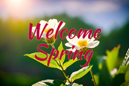Welcome spring seasonal greetings wallpaper background for banner and commercial, beautiful nature flower and green with some sunrise.の写真素材