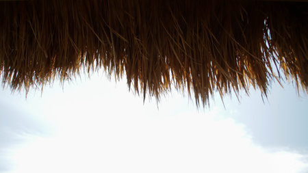 Silhouette of straw thatched roof with cloudy sky background.