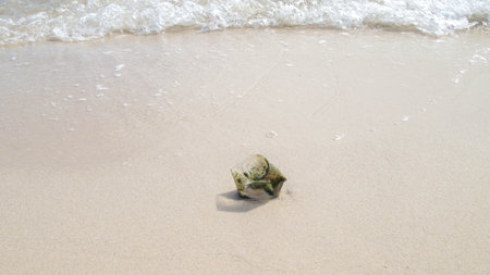 Polluted beach is filled with plastic waste. Environment damage with household waste.
